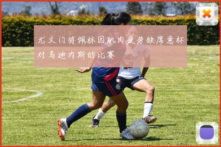 尤文门将佩林因肌肉疲劳缺席意杯对乌迪内斯的比赛