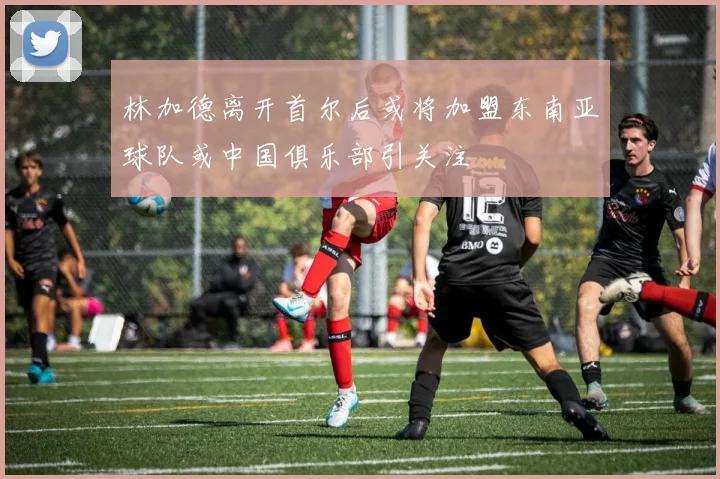 林加德离开首尔后或将加盟东南亚球队或中国俱乐部引关注