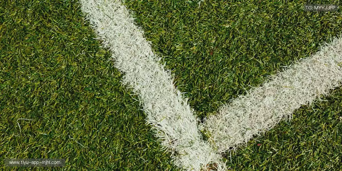 📰 体育新闻，权威速递！🏆 最新战报、深度解读，尽在掌握！